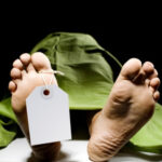 dead after 40 hours of diablo 3