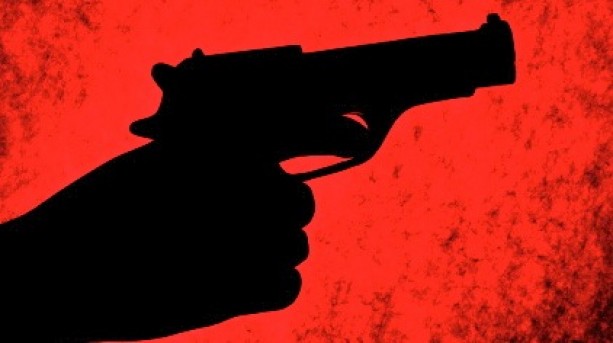 court ruled illegal aliens can not legally poses guns